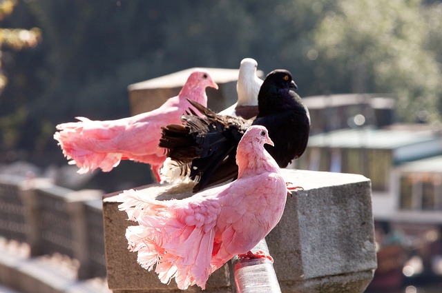 TA：球员版长袖球衣全面回归，实现从性能到美学的个性表达