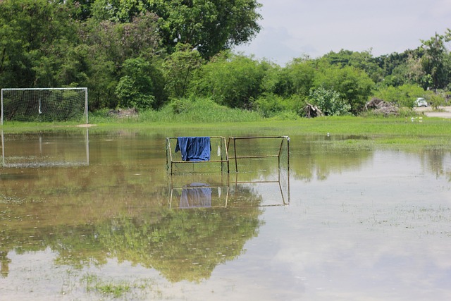 塞内加尔新一期名单：雅克松领衔，姆巴耶、马马杜-萨尔入选